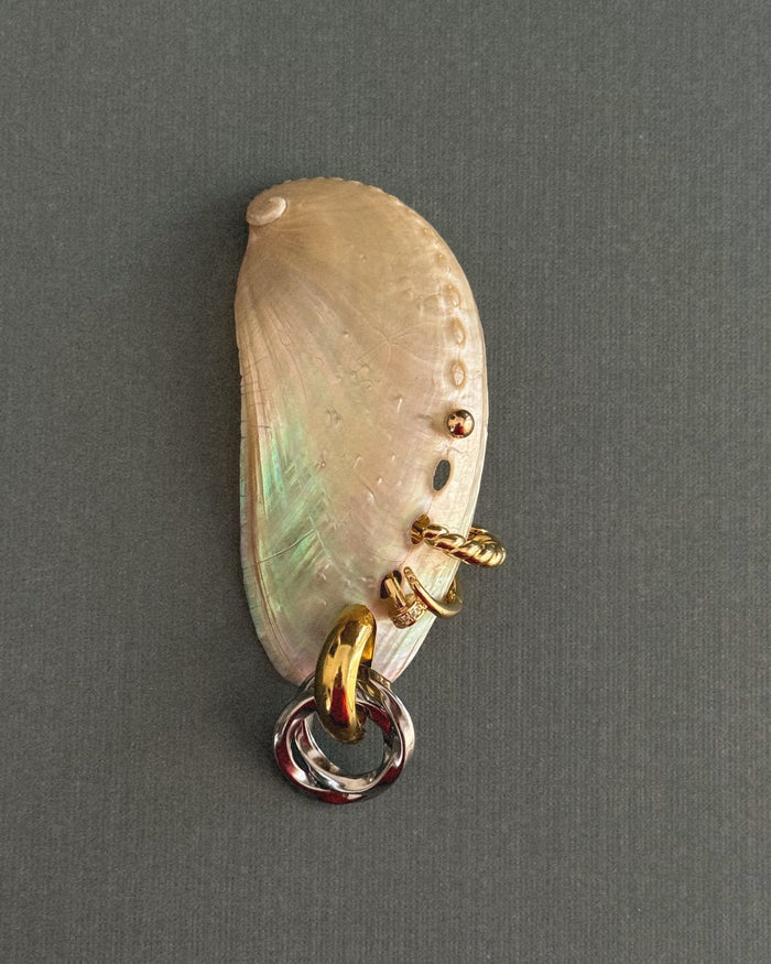 A shell with multiple earrings placed on it on a green background
