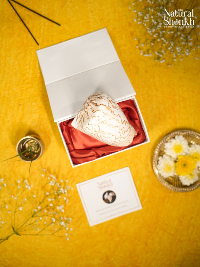 Melo Melo - Home Decor and Gifting Shell
