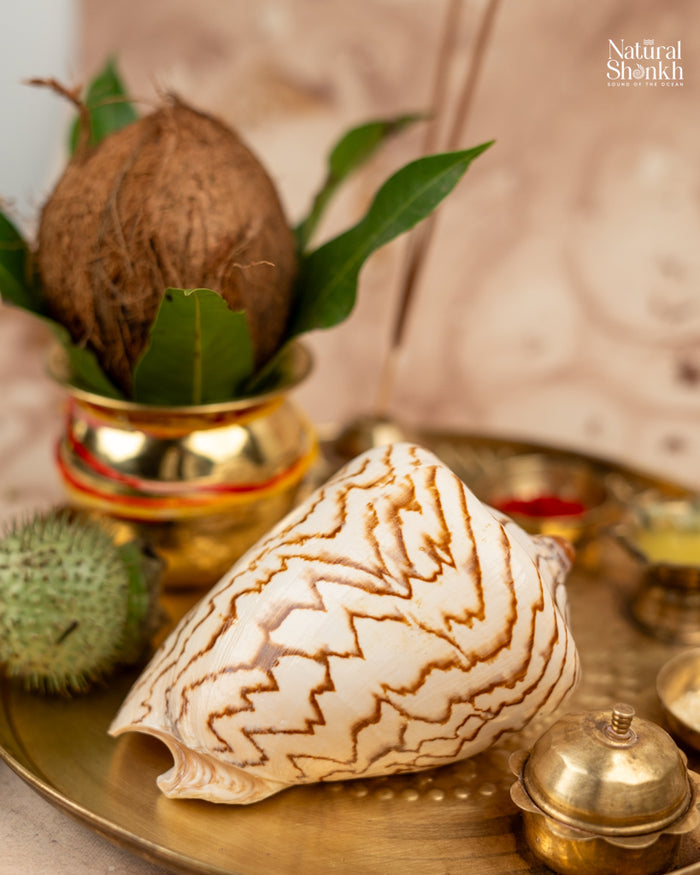 Melo Melo - Home Decor and Gifting Shell