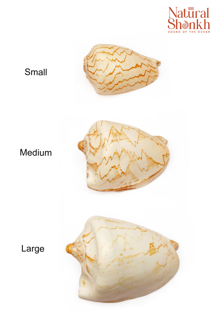 Melo Melo - Home Decor and Gifting Shell