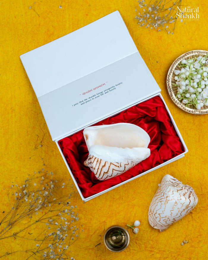 Melo Melo - Home Decor and Gifting Shell