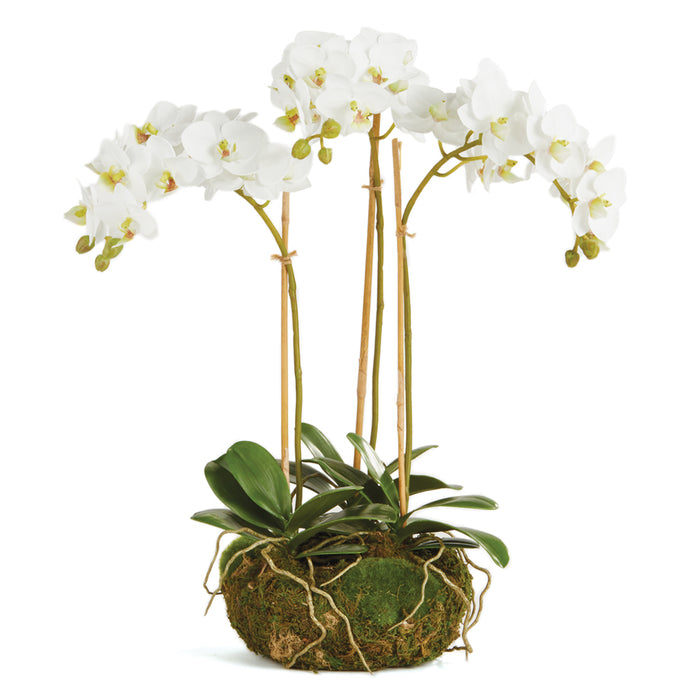 Mini Faux White Phalaenopsis Orchid Drop-in Arrangement - Well Appointed House