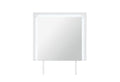 Naomi - Mirror With LED - Silver