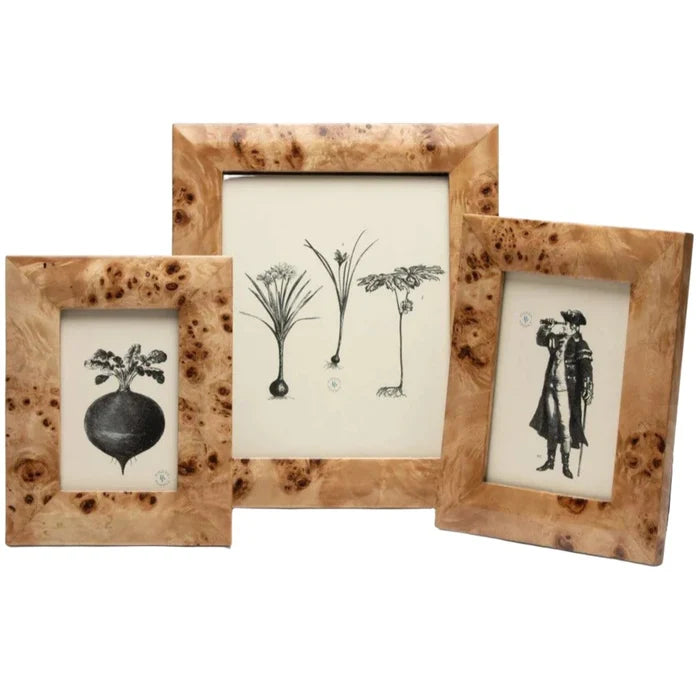 Pigeon & Poodle Narvik Rich Burl Maple Wood Veneer Frame in Two Different Colors - Picture Frames - The Well Appointed House