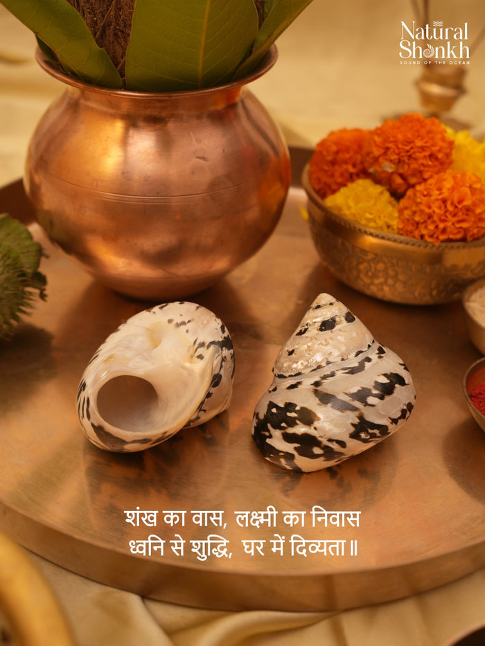 Natural Black Moti (Pair) - For Statement Decor and Gifting