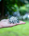 Natural Black Moti (Pair) - For Statement Decor and Gifting