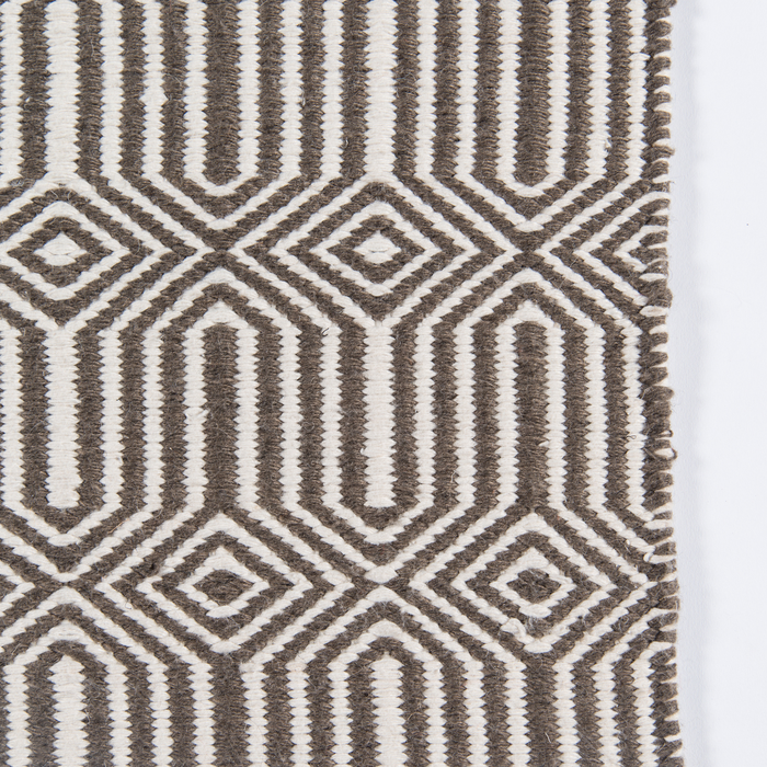 Newton Holden Brown Hand Woven Recycled Plastic Indoor Outdoor Rug - The Well Appointed House