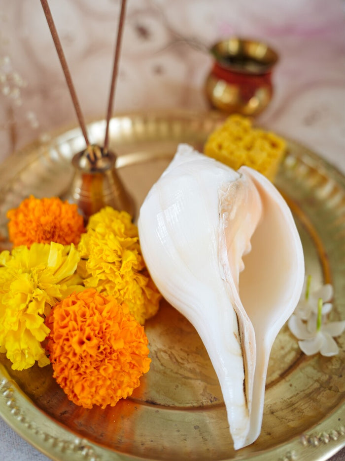 Padam-Puja Shankh (Non Blowing)
