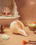 Padam Shankh