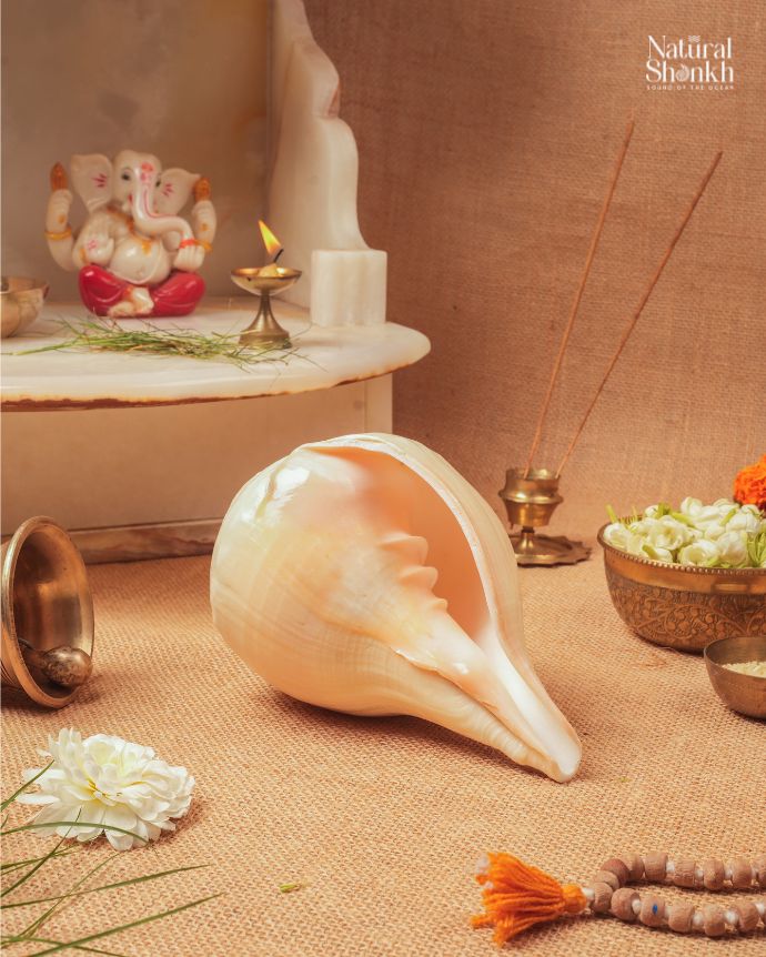 Padam Shankh