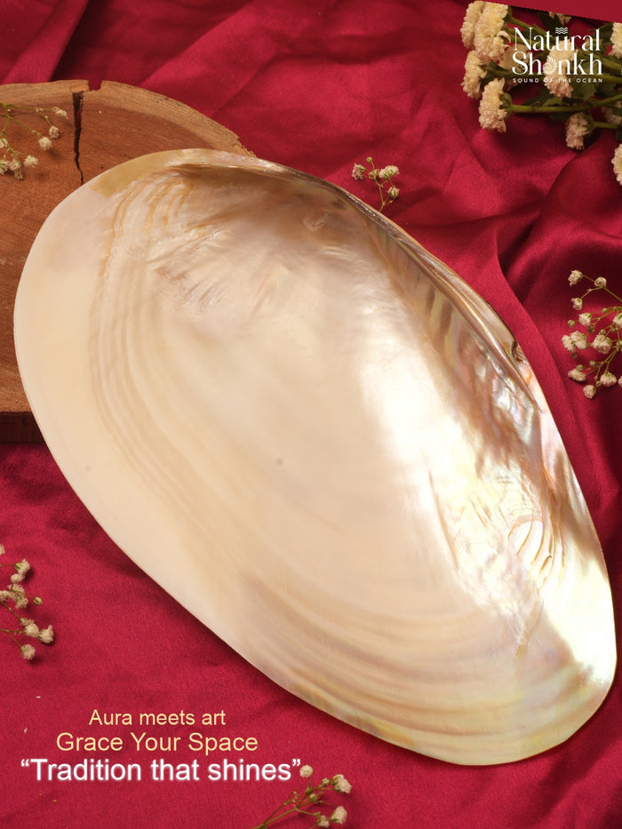 Pearl Seep - Natural Mother-Of-Pearl Shell