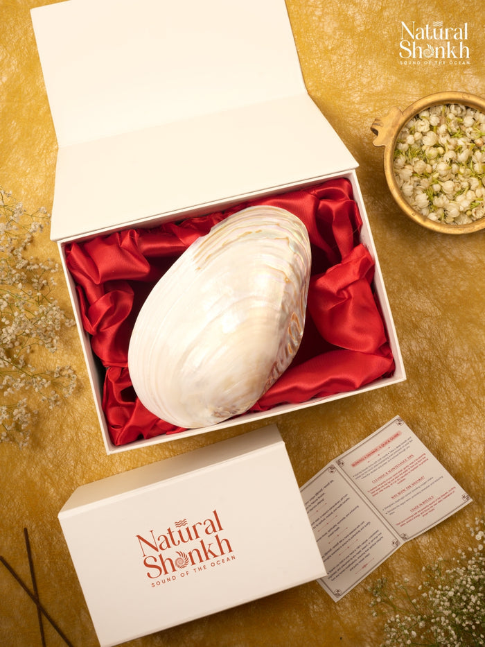 Pearl Seep - Natural Mother-Of-Pearl Shell