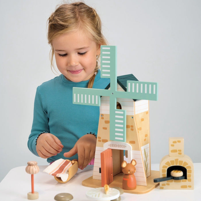 Penny Windmill - THE WELL APPOINTED HOUSE