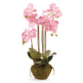 Phalaenopsis Faux Pink Orchid Drop-In - The Well Appointed House