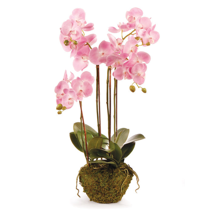 Phalaenopsis Faux Pink Orchid Drop-In - The Well Appointed House