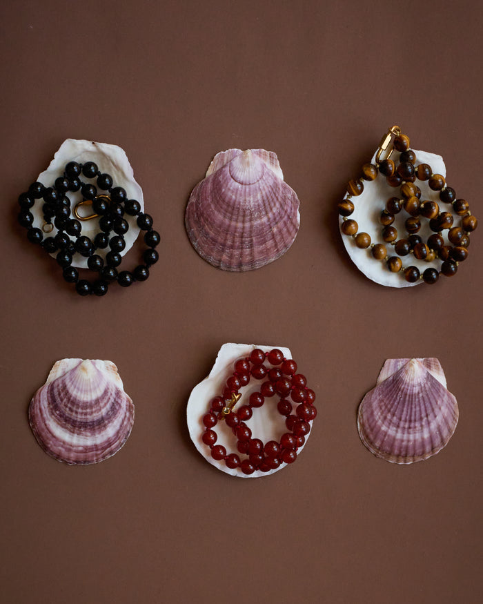 Seashells with beads on a brown background