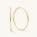 Close up of thin gold hoops on a white background