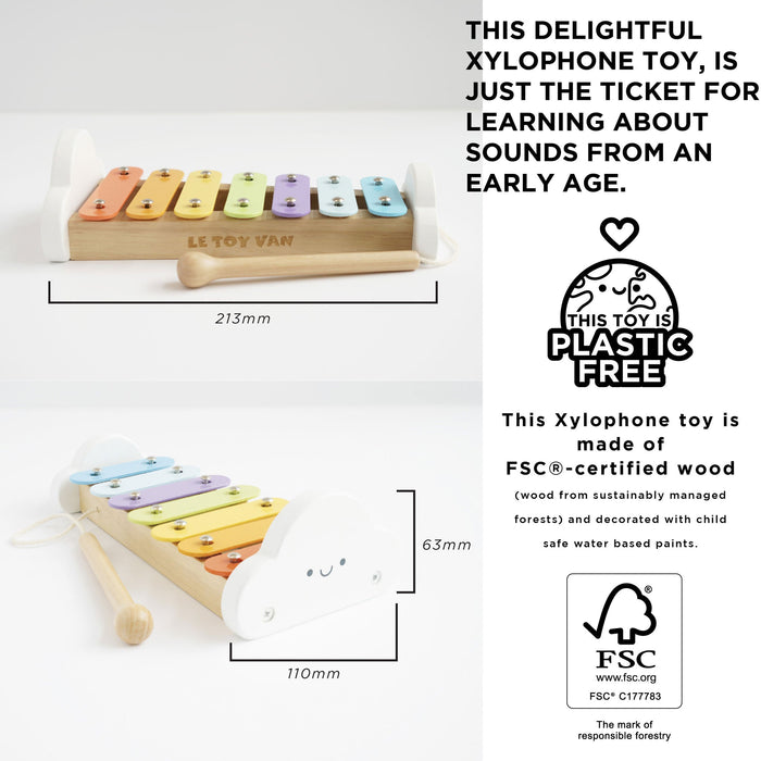 Rainbow Wooden Xylophone - The Well Appointed House