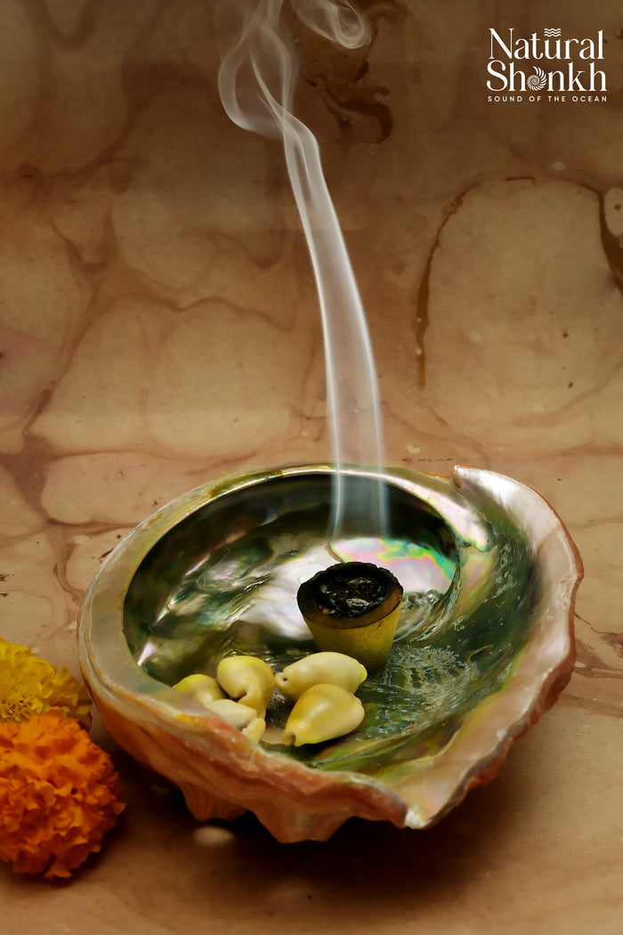 Red Abalone Seep - Natural Incense and Sage Holder