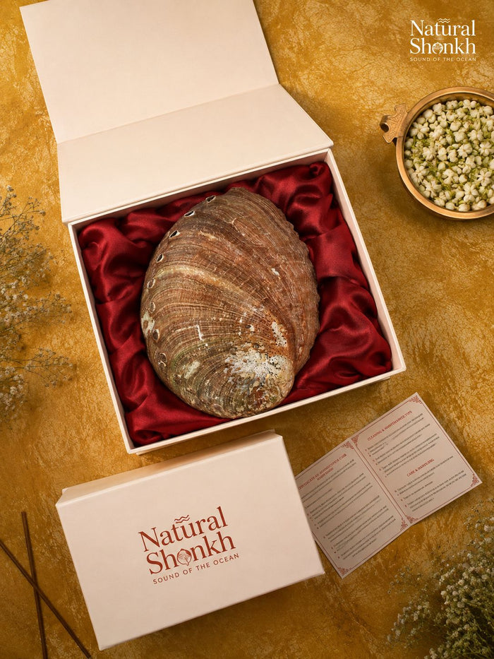 Red Abalone Seep - Natural Incense and Sage Holder