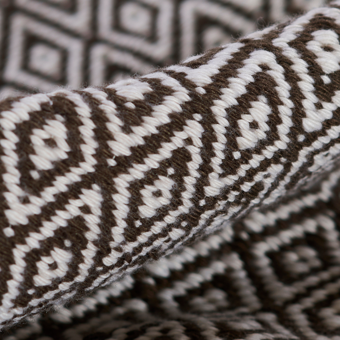 River Davis Brown Hand Woven PET Indoor Outdoor Rug - The Well Appointed House