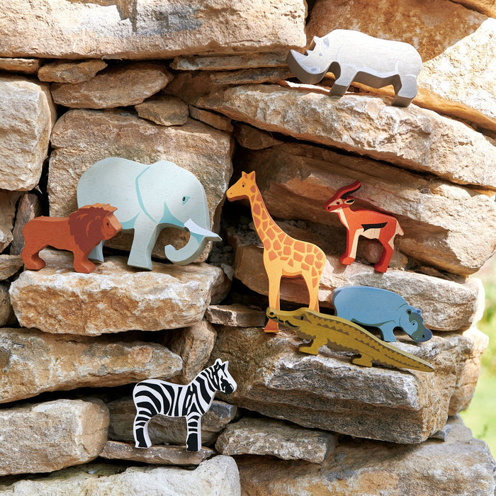 Safari Collection - The Well Appointed House