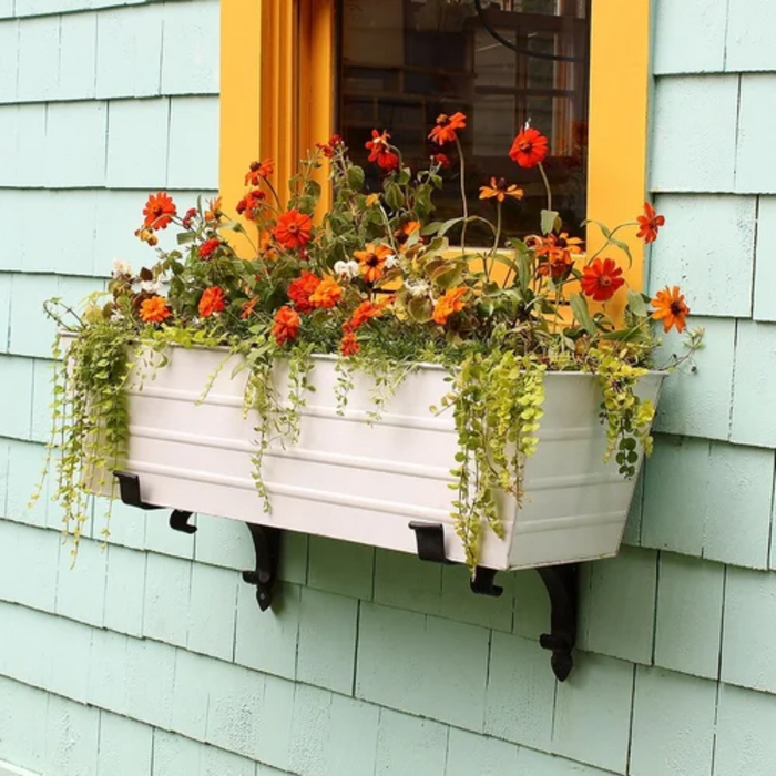 Scrolls Flower Box Bracket - The Well Appointed House