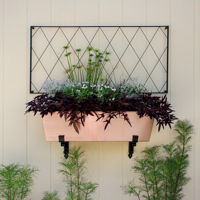 Scrolls Flower Box Bracket - The Well Appointed House