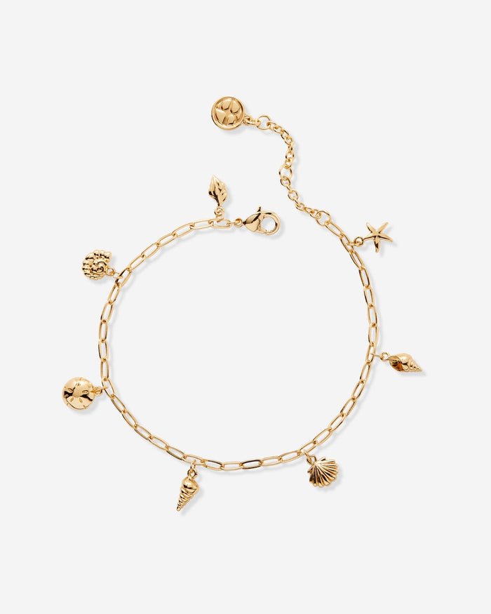 Bryan Anthonys Gold Sea Seeker Charm Bracelet Macro
