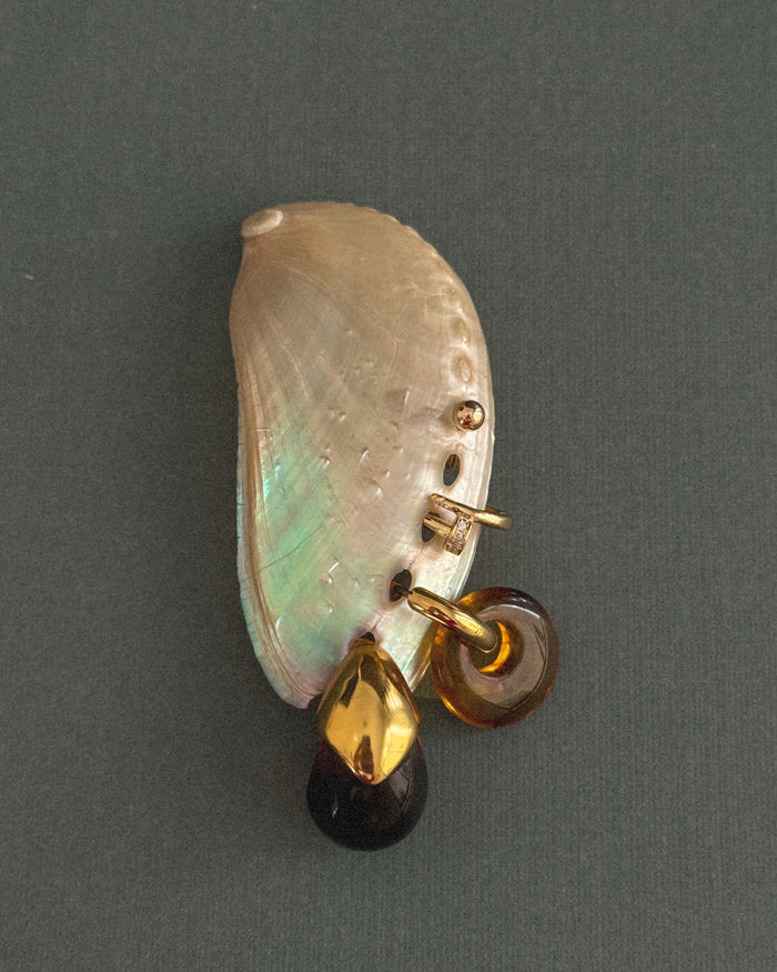 A shell with multiple earrings placed on it on a green background