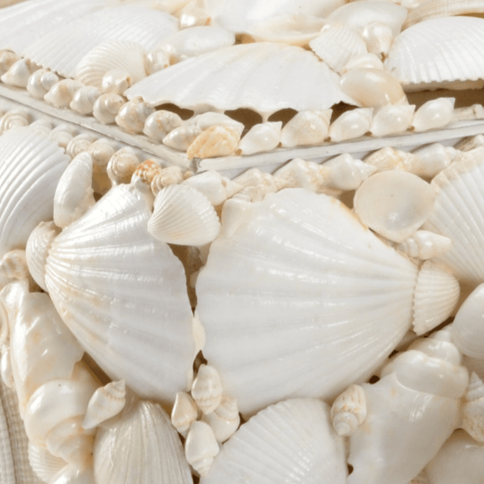 Set of 3 Natural White Decorative Shell Boxes - Decorative Boxes - The Well Appointed House
