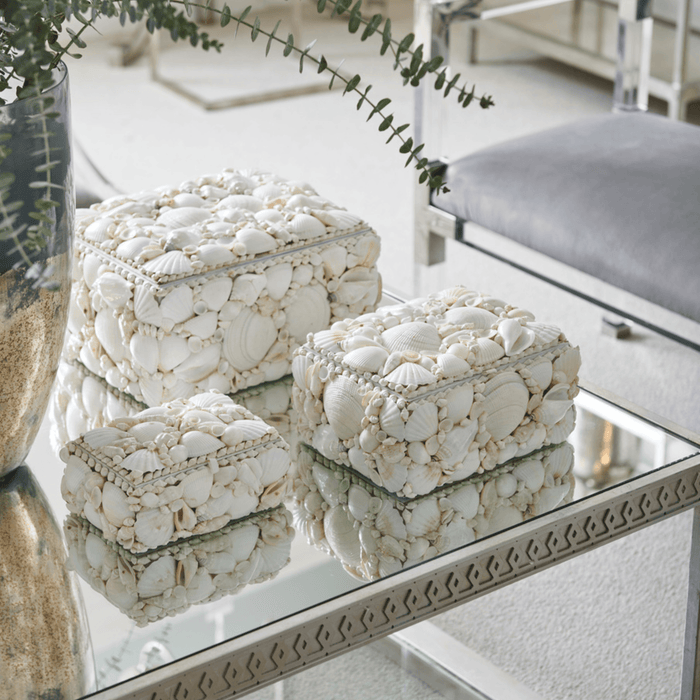 Set of 3 Natural White Decorative Shell Boxes - Decorative Boxes - The Well Appointed House