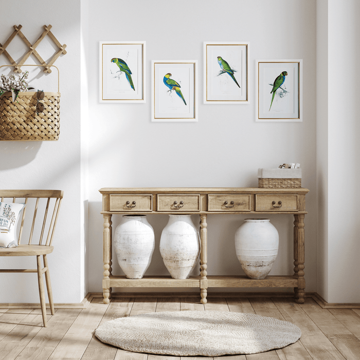 Set of 4 Colorful Parrot Framed Prints - Paintings - The Well Appointed House