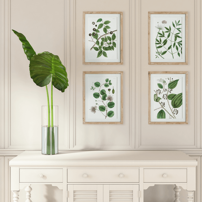 Set of 4 Verdant Branch Framed Prints - Paintings - The Well Appointed House