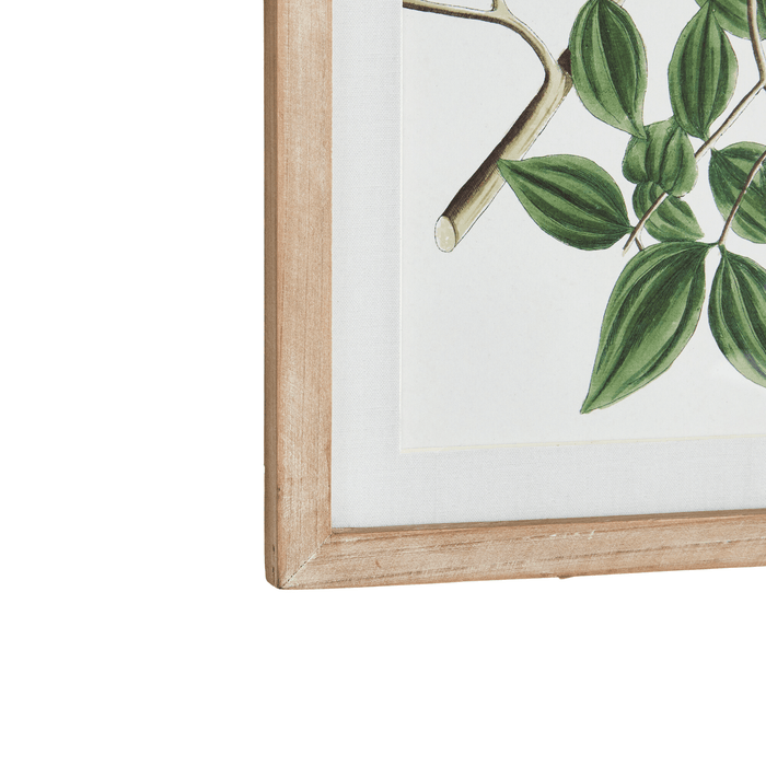 Set of 4 Verdant Branch Framed Prints - Paintings - The Well Appointed House