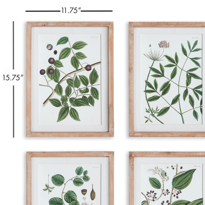 Set of 4 Verdant Branch Framed Prints - Paintings - The Well Appointed House