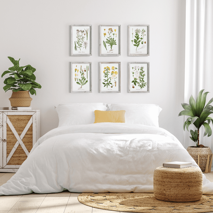 Set of 6 Botanical Study Perennial Framed Prints - Paintings - The Well Appointed House