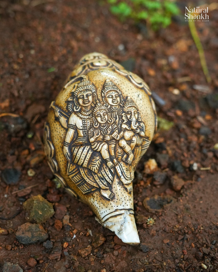 Shankar-Parvati Carved Shankh