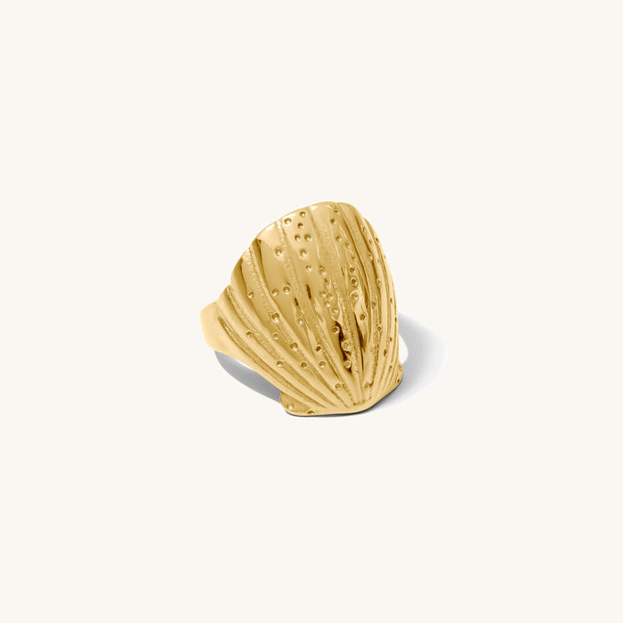 Close up of the gold Shelly seashell ring on a white background