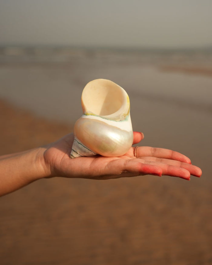 Silver Moti Shankh - Home Decor and Vastu