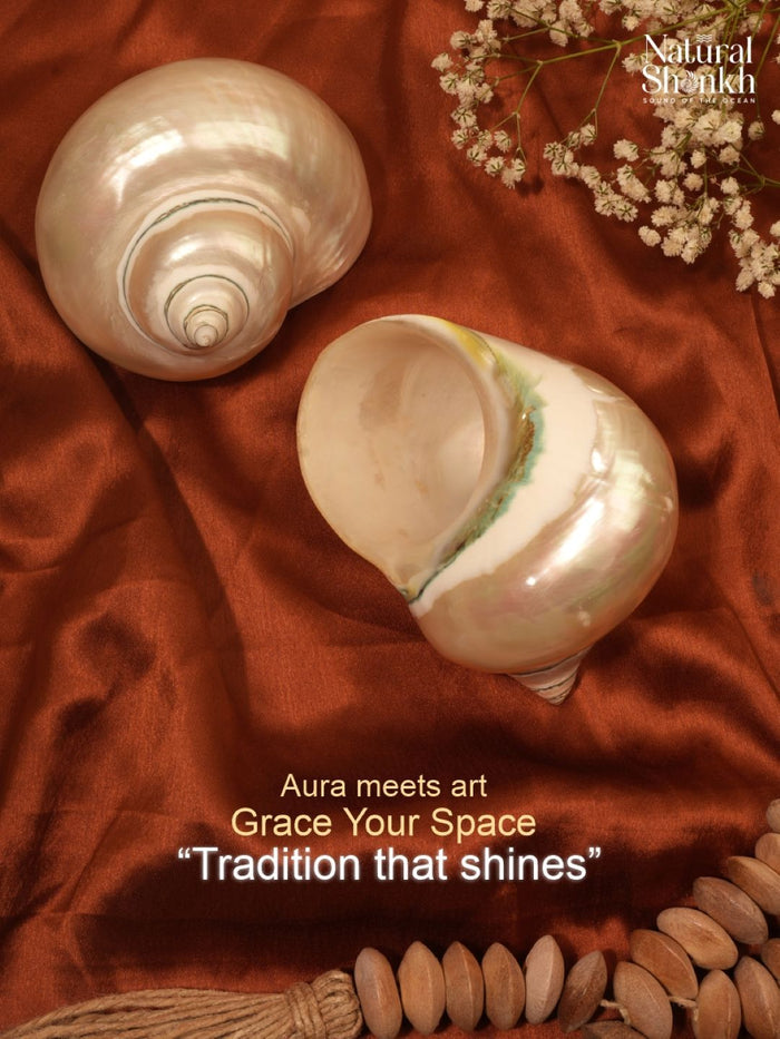 Silver Moti Shankh - Home Decor and Vastu