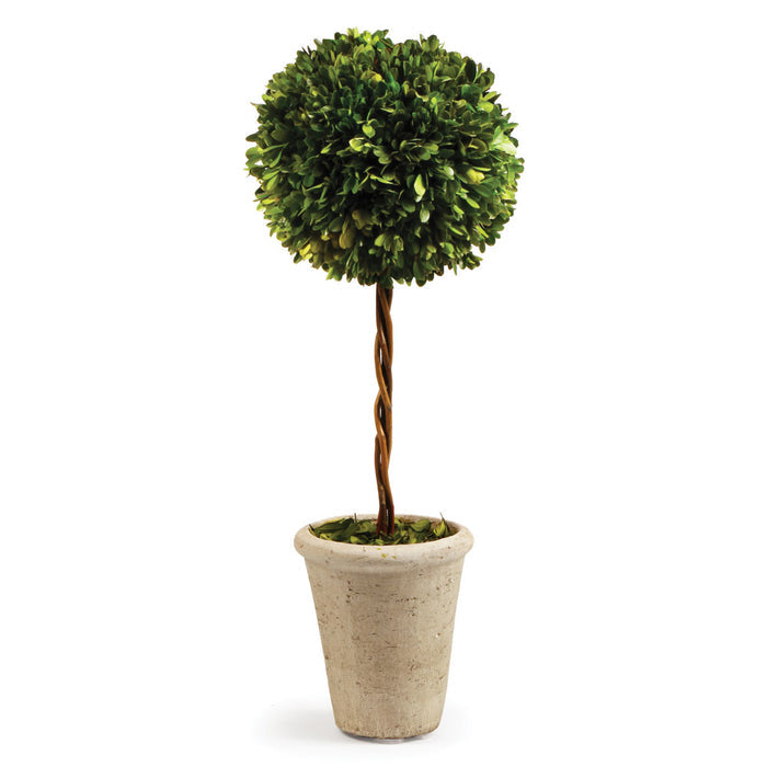 Single Sphere Boxwood Topiary - The Well Appointed House