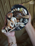 Vastu Dosha Box