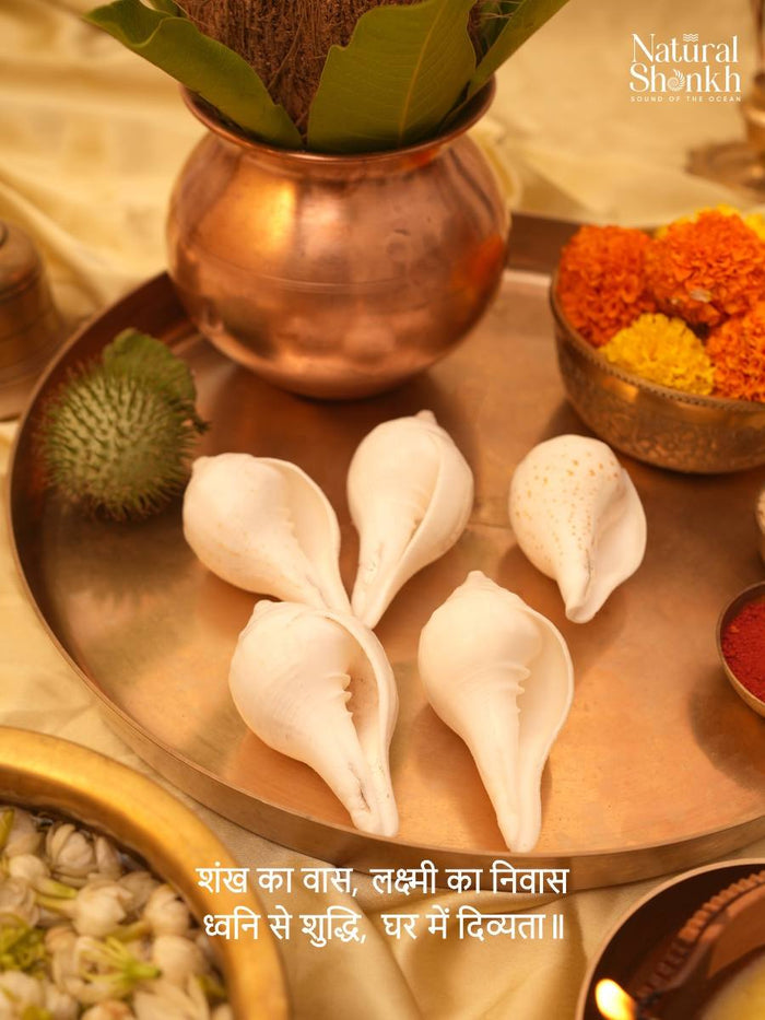 Vishnu-Puja Shankh Kit - Non Blowing (5 Pcs)