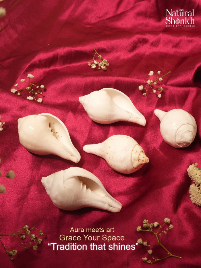 Vishnu-Puja Shankh Kit - Non Blowing (5 Pcs)