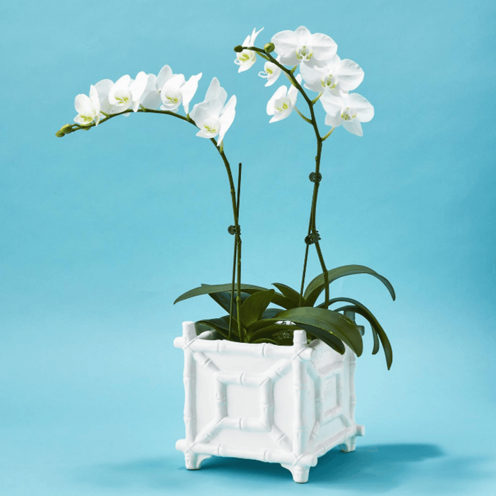 White Ceramic Faux Bamboo Fretwork Cachepot - Indoor Planters - The Well Appointed House