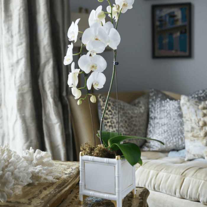 White & Gold Bamboo Inspired Cachepot - Available in Two Sizes - Indoor Cachepots - The Well Appointed House