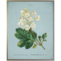 White Hydrangea on Blue Framed Wall Art - Little Loves Art - The Well Appointed House