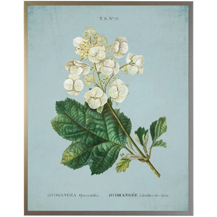 White Hydrangea on Blue Framed Wall Art - Little Loves Art - The Well Appointed House
