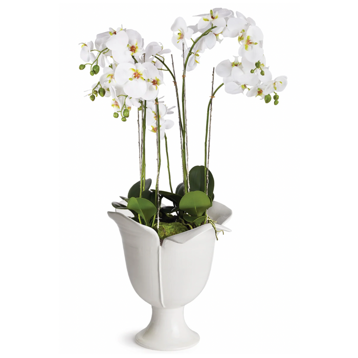 White Petalo Vase-The Well Appointed House